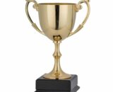 gold award cup