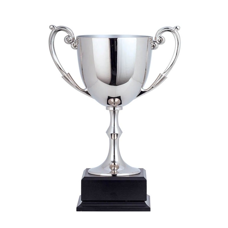 silver award cup