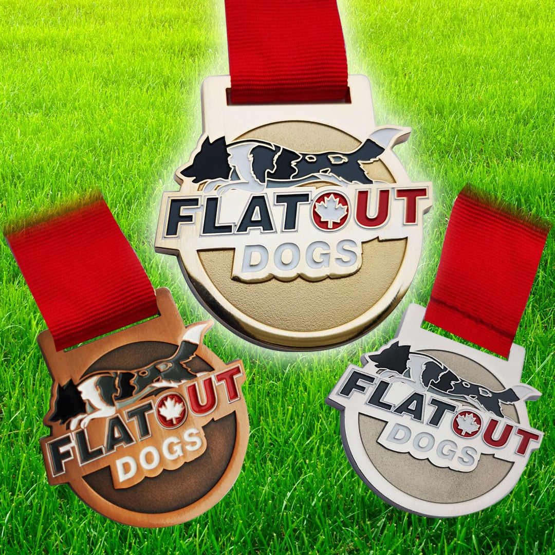 dog agility medals